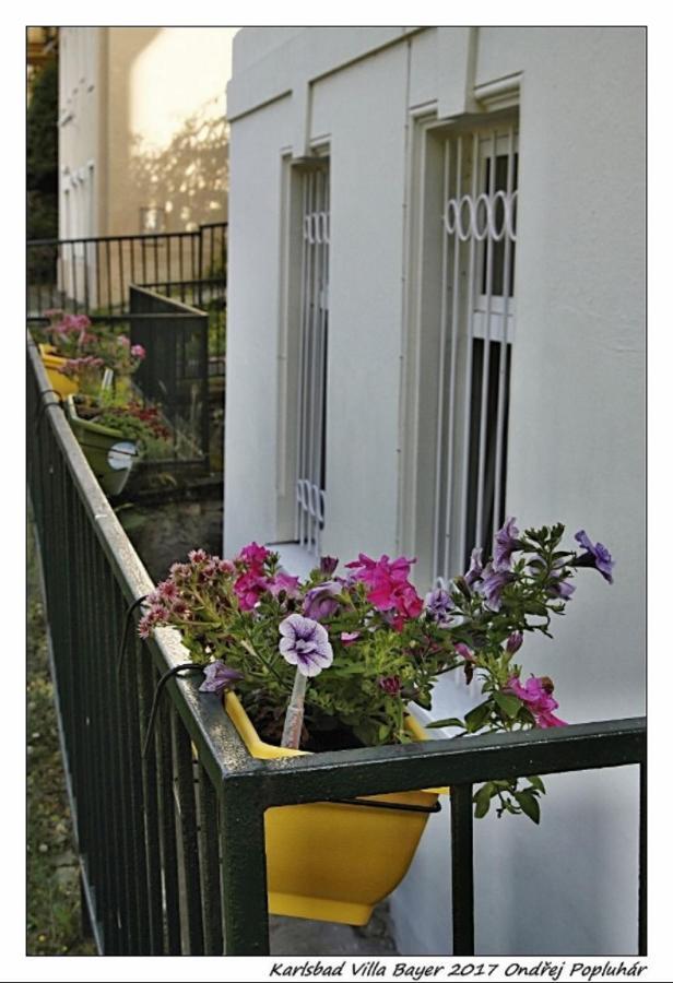 Apartmán Vila Bayer KLV Exterior foto